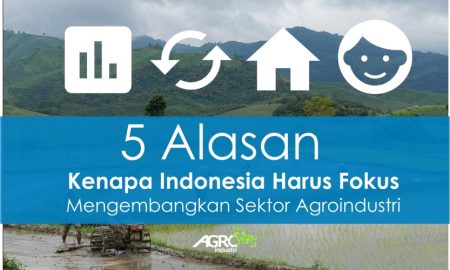 5 Alasan Kenapa Indonesia Harus Mulai Fokus Mengembangkan Sektor Agroindustri