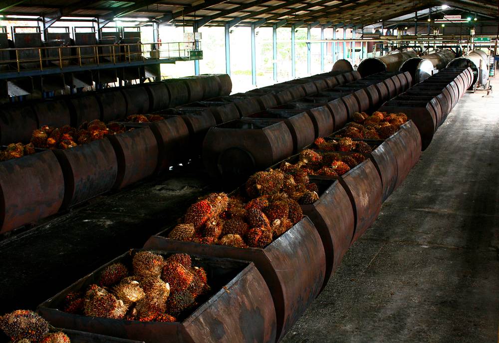 daftar pabrik kelapa sawit di Sumatera - agroindustri