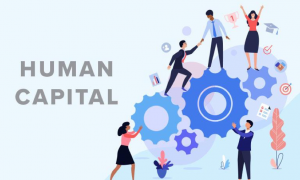 HUMAN CAPITAL