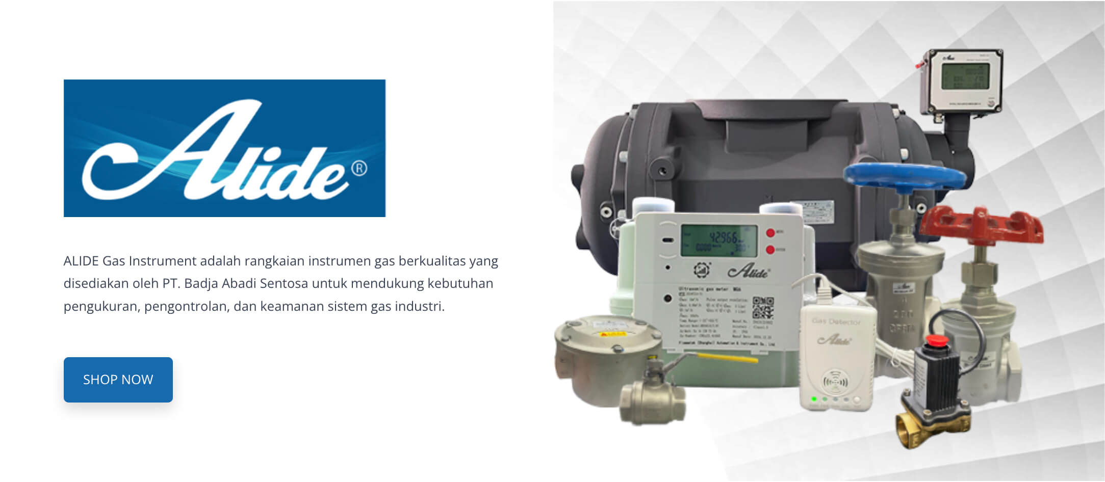 ALIDE Gas Instruments